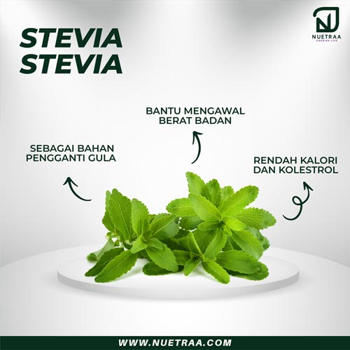 Stevia