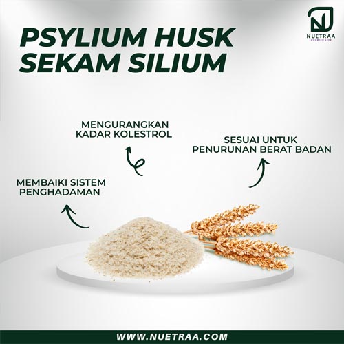 Sekam Silium